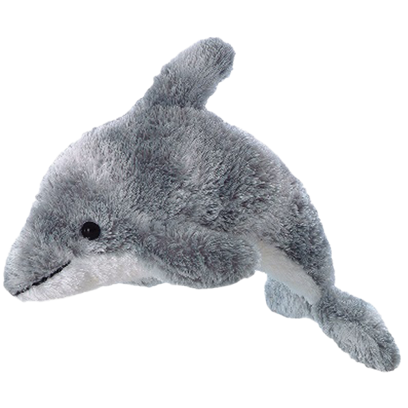 Della Dolphin